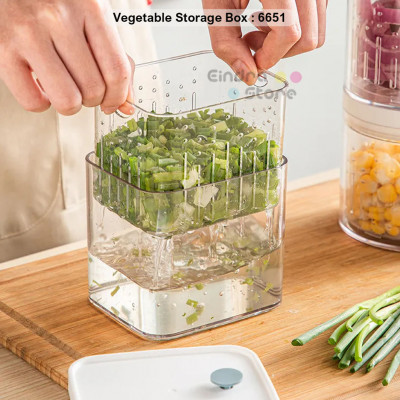 Vegetable Storage Box : 6651